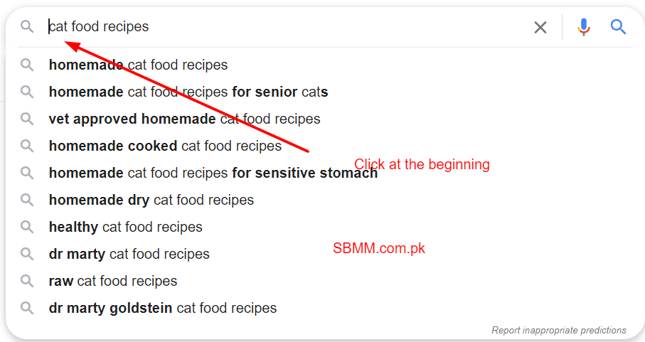 google suggestion keywords